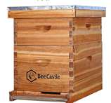 beecastle beehive kit