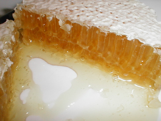 comb honey