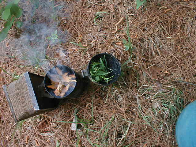 first hive inspection 3