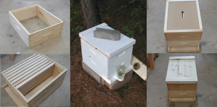 how to build a bee hive diy