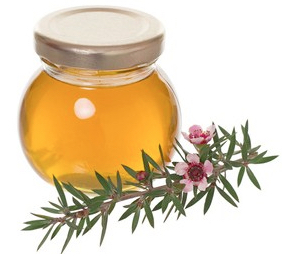 manuka blossoms with honey