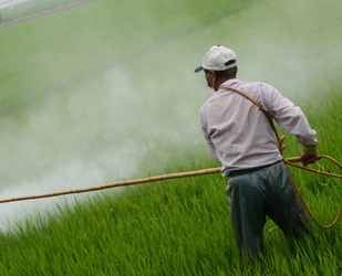 spraying pesticides