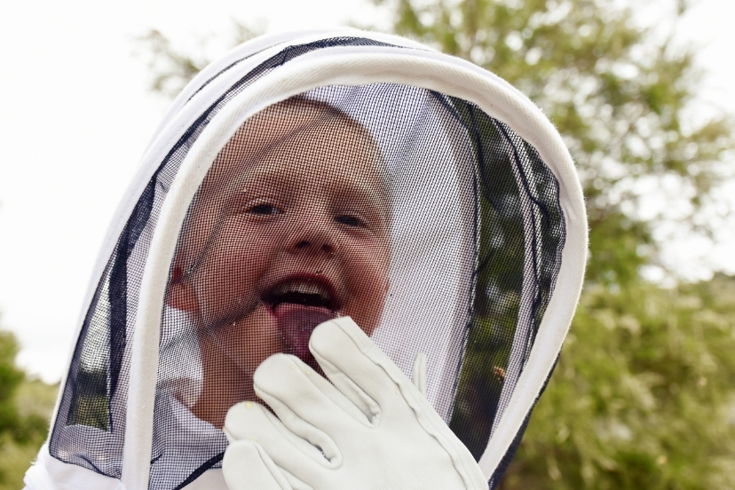 bee veil