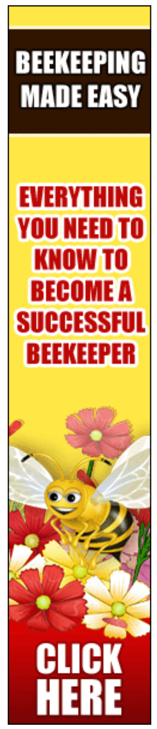 learn beekeeping