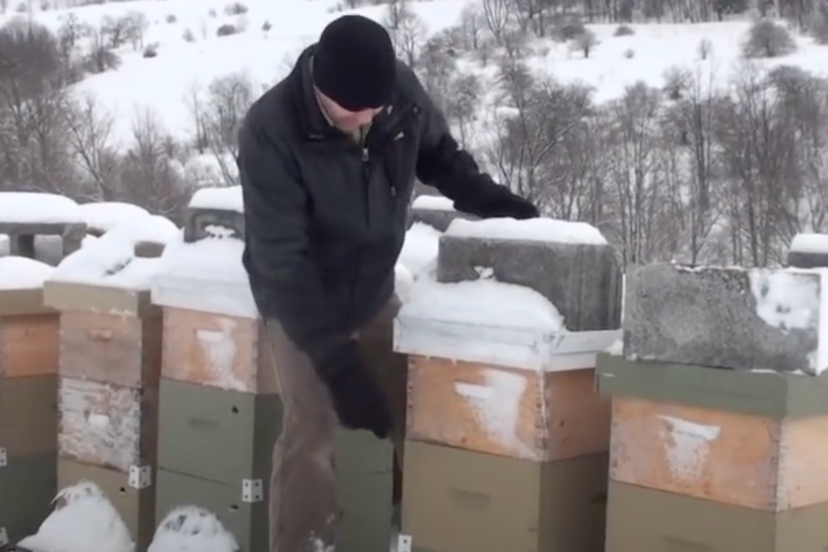Beekeeping Seasonal Guide Monthly Tasks