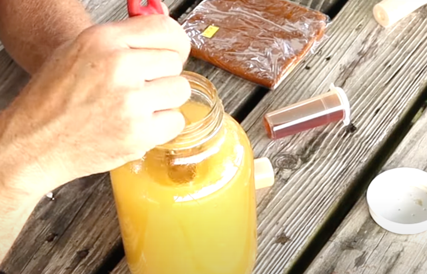 how to feed bees